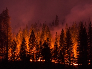 Panorama of the King Fire in Pollock Pines, California, that burned over 70,000%